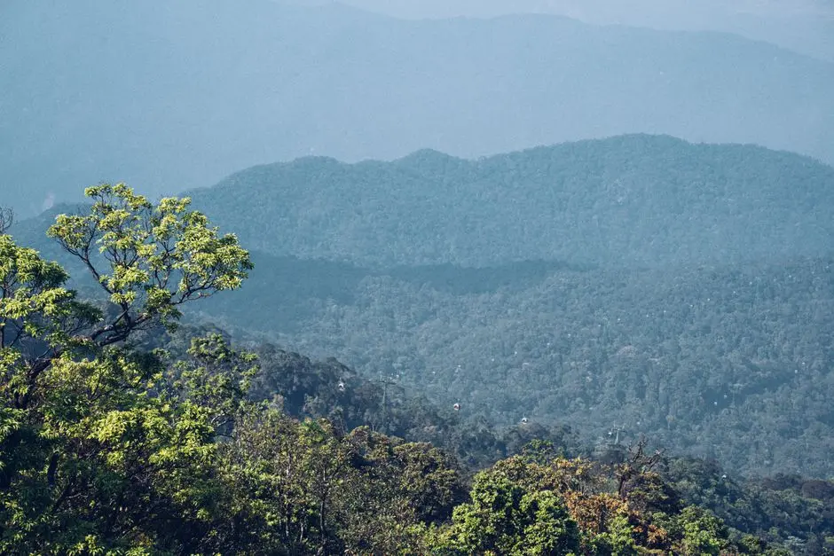 Pemandangan hutan Taman Nasional Bukit Tiga Puluh