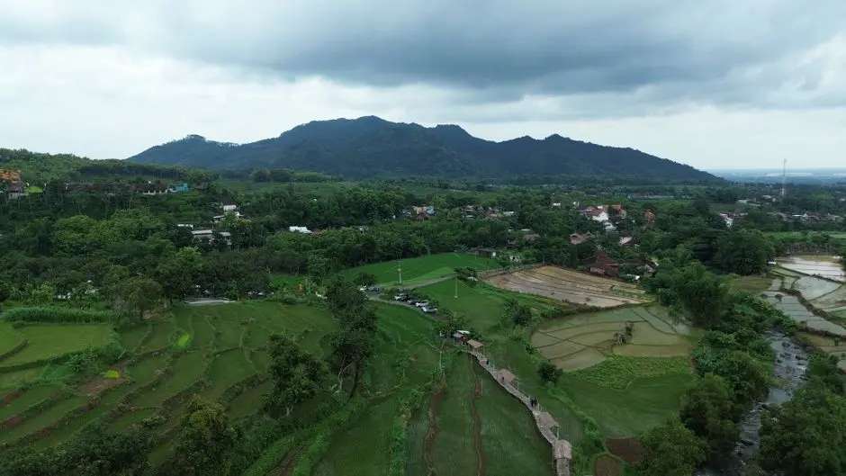 Menikmati Keindahan Alam di Taman Nasional Bukit Tiga Puluh Bersama Keluarga